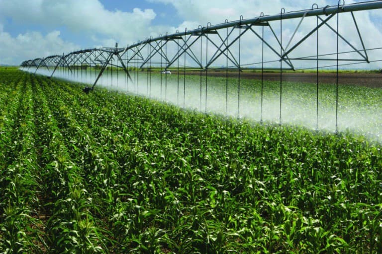 AGRICOLTURA 3