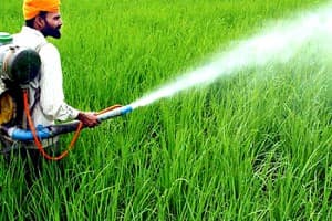 Agricoltura